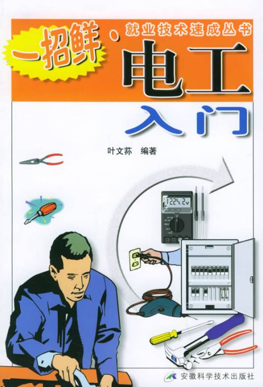 电工入门（2005年安徽科学技术出版社出版的图书）