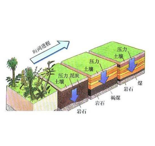 煤化作用