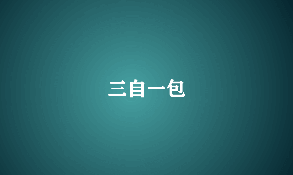 三自一包