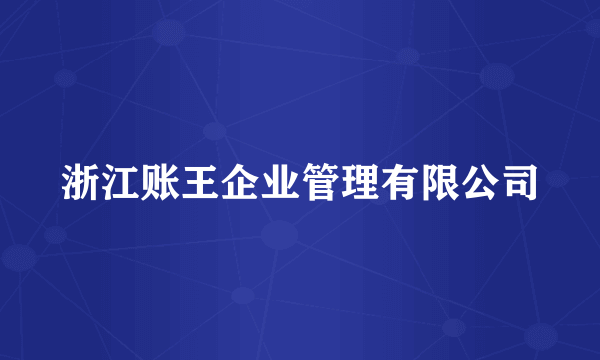 浙江账王企业管理有限公司