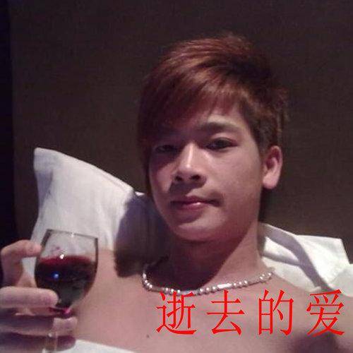 逝去的爱（2014年名威演唱歌曲）