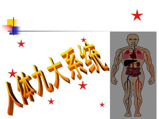 人体九大系统