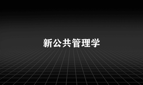 新公共管理学