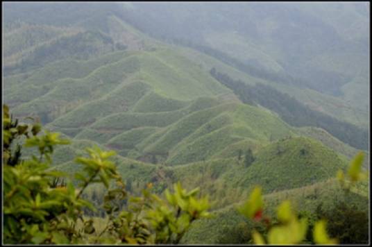 玳瑁山（漳浦县境内的山峰）