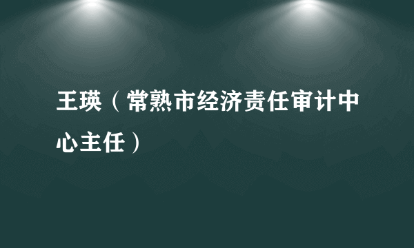 王瑛（常熟市经济责任审计中心主任）