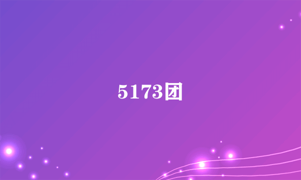 5173团