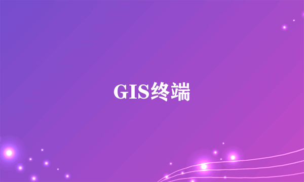GIS终端
