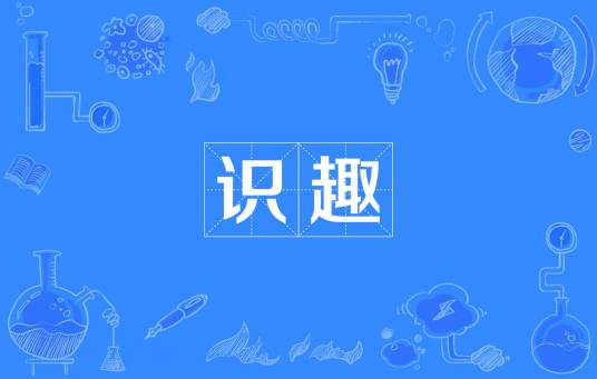 识趣（汉语词汇）