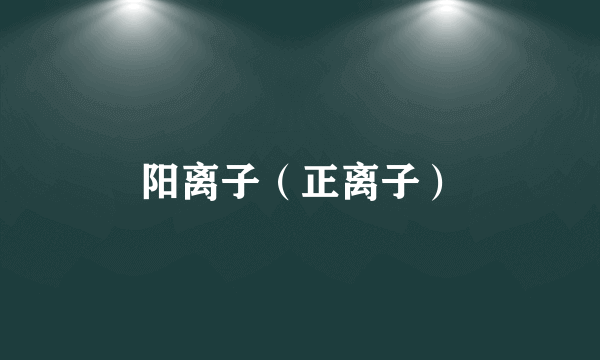 阳离子（正离子）