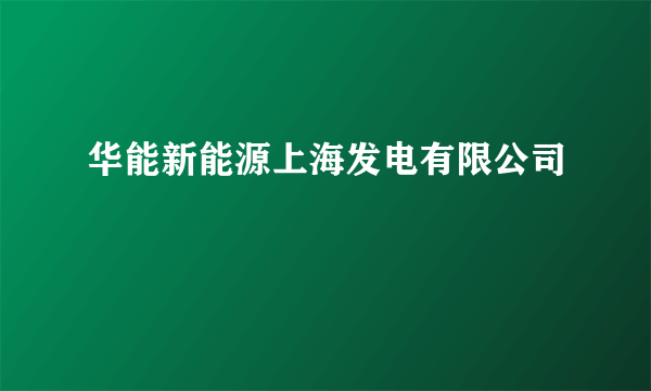 华能新能源上海发电有限公司