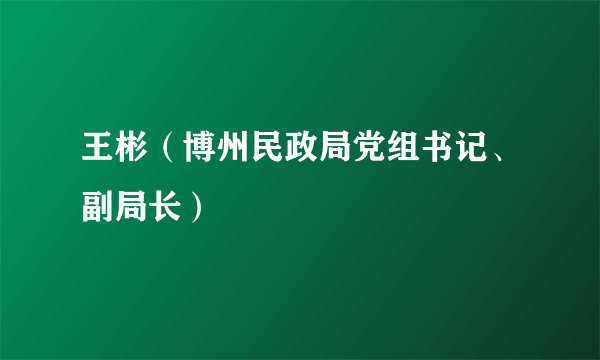 王彬（博州民政局党组书记、副局长）