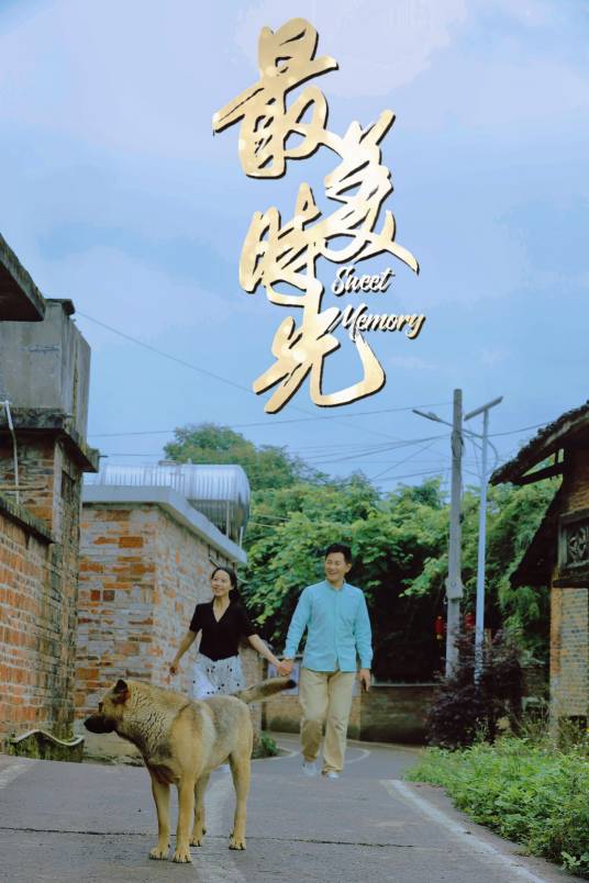 最美时光（谢锋、易莉执导的乡村电视剧）