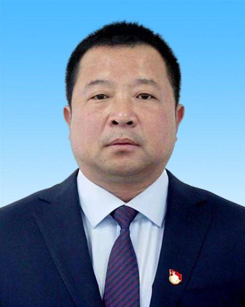 李海华（北京市大兴区青云店镇党委委员、副镇长）