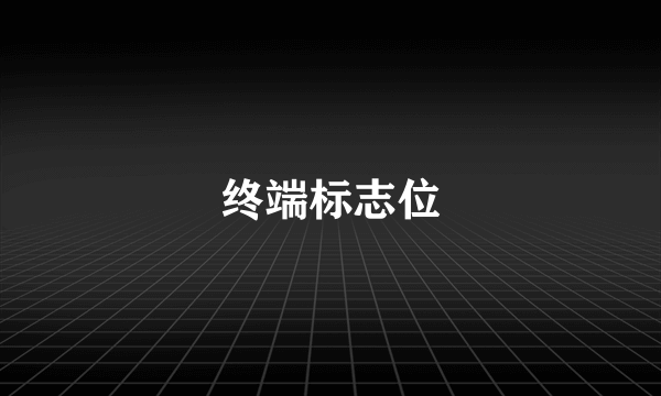 终端标志位