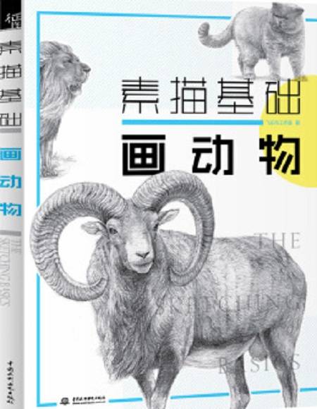 素描基础画动物