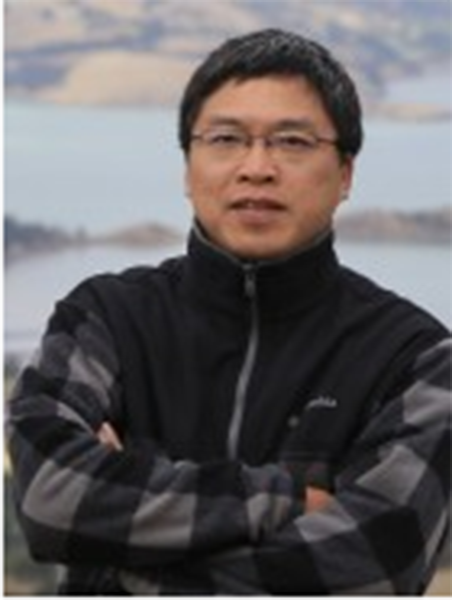 陈新（浙大历史系教授）