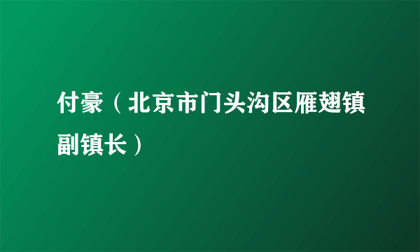 付豪（北京市门头沟区雁翅镇副镇长）