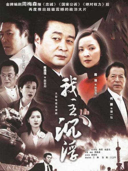 我主沉浮（2005年蒋绍华执导的政治剧）