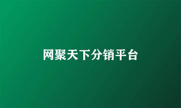网聚天下分销平台