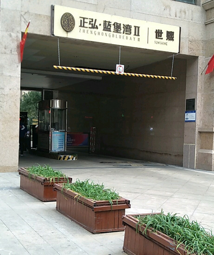 中原国际数码港蓝堡湾