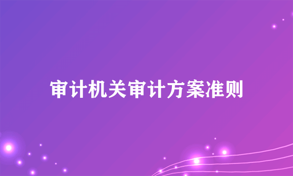 审计机关审计方案准则