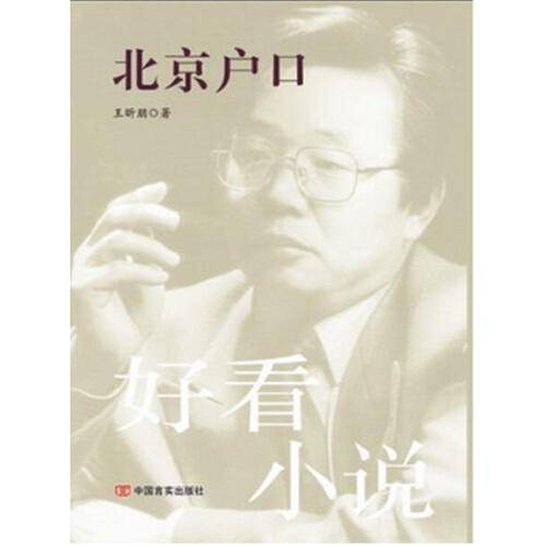 北京户口（2014年中国言实出版社出版的图书）