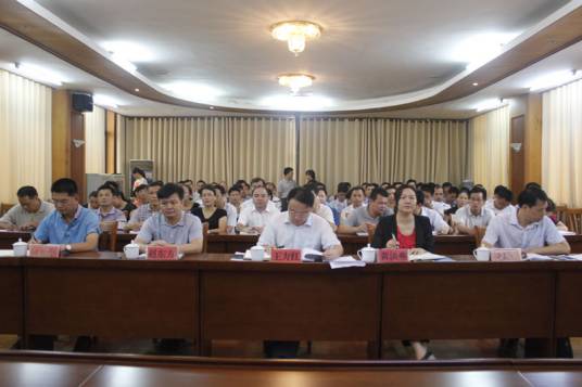 龙州县人民政府办公室