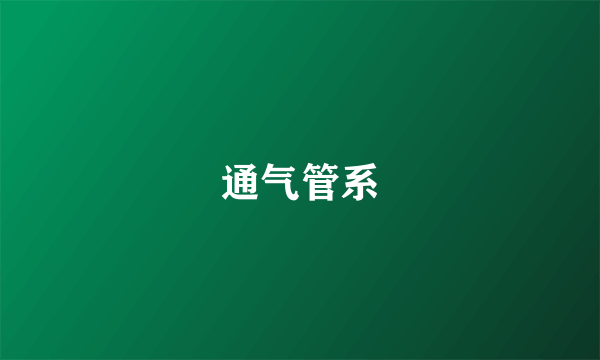 通气管系