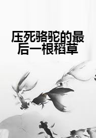 压死骆驼的最后一根稻草