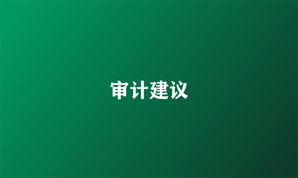 审计建议