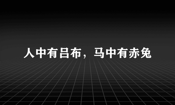 人中有吕布，马中有赤兔