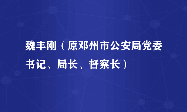 魏丰刚（原邓州市公安局党委书记、局长、督察长）