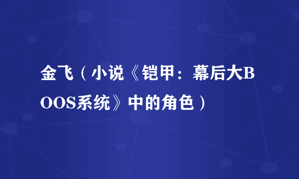 金飞（小说《铠甲：幕后大BOOS系统》中的角色）