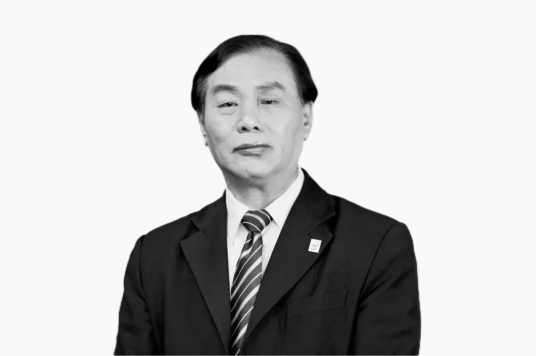 杨志钢（武昌船舶重工集团有限公司原党委书记、董事长）