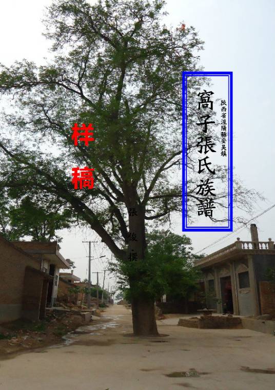 泾阳安吴张氏族谱