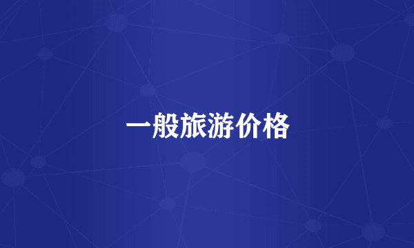一般旅游价格