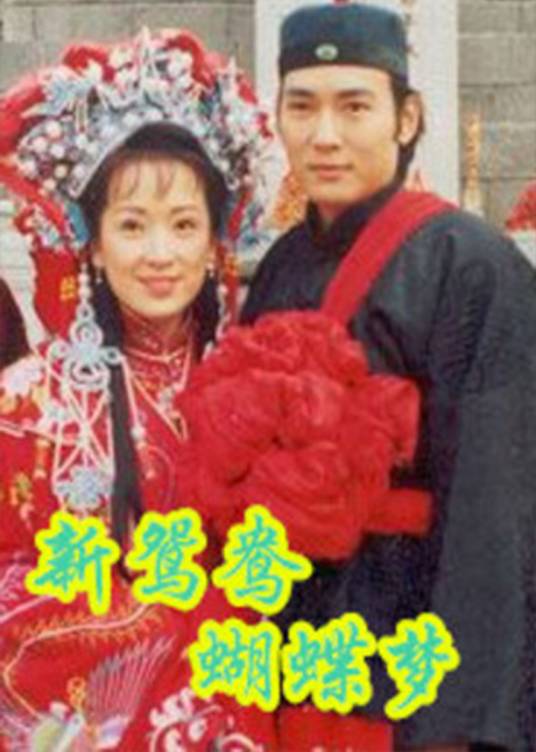 新鸳鸯蝴蝶梦（焦恩俊主演电视剧）