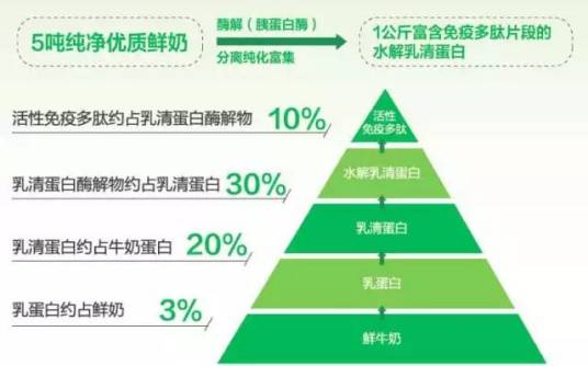 乳清蛋白水解物