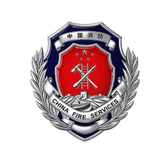 广西壮族自治区公安消防总队