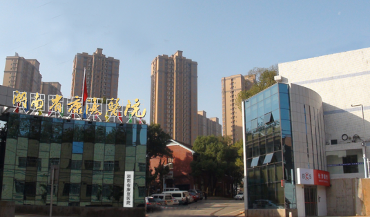 湖南省康复医院