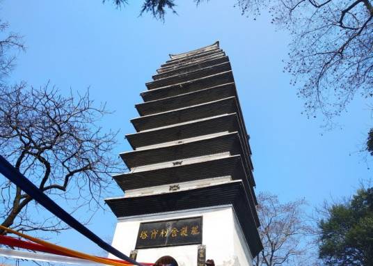 龙护舍利塔