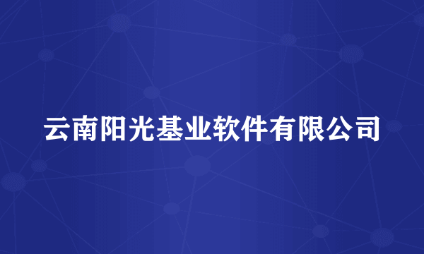 云南阳光基业软件有限公司