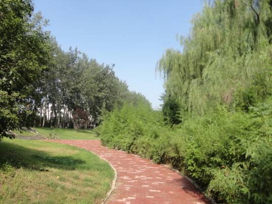 蒋震植物园