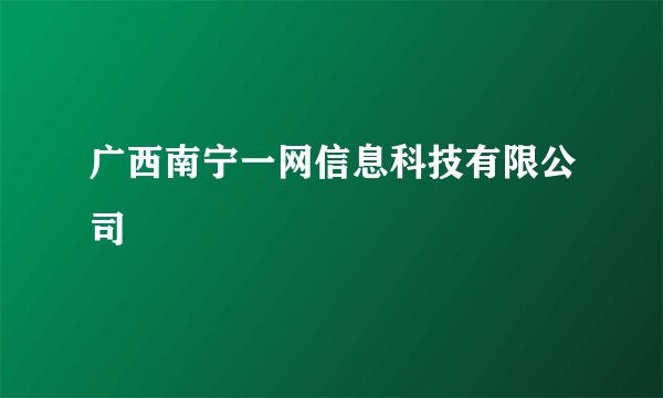 广西南宁一网信息科技有限公司