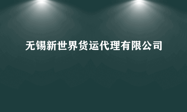 无锡新世界货运代理有限公司