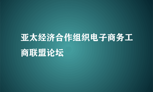 亚太经济合作组织电子商务工商联盟论坛