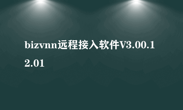 bizvnn远程接入软件V3.00.12.01