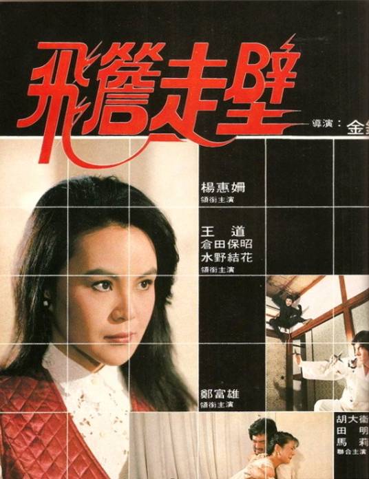 飞檐走壁（1983年杨惠姗主演的台湾电影）