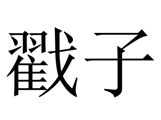 戳子