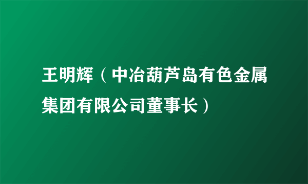 王明辉（中冶葫芦岛有色金属集团有限公司董事长）